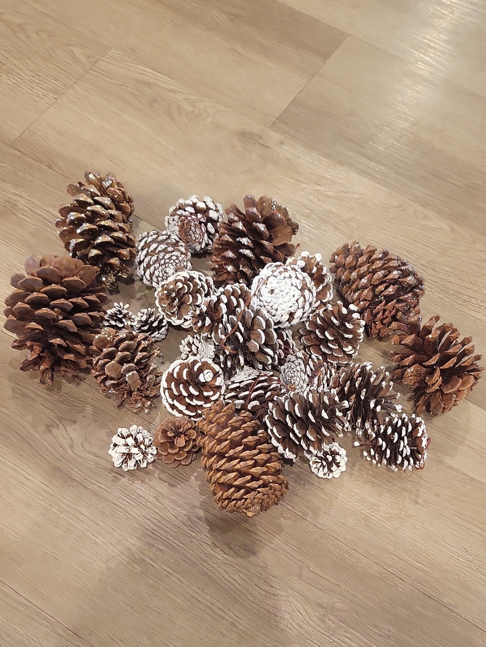 Holiday Pinecone Bundle